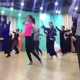 初学成人舞蹈视频,轻松舞动，享受舞蹈魅力