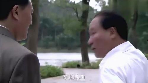 成人学历史看什么视频,成人学习历史必看的经典视频推荐