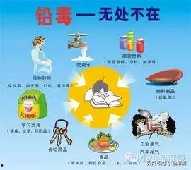 成人铅中毒怎么补救视频,视频解析