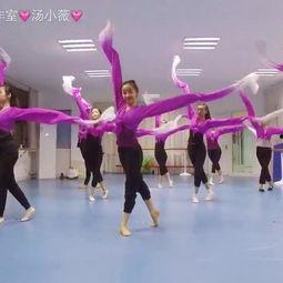 八一公园成人舞蹈视频,公园成人舞蹈风采展示