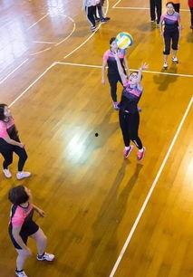 成人气排球教学视频全集,全方位提升技巧与策略解析