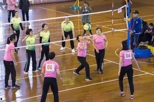 成人气排球教学视频全集,全方位提升技巧与策略解析