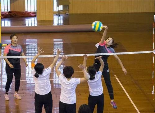 成人气排球教学视频全集,全方位提升技巧与策略解析