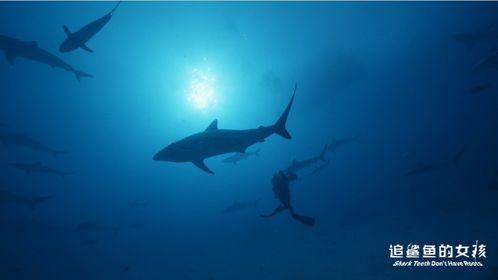 鲨鱼变成人女孩视频,鲨鱼女孩的蜕变之旅