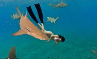 鲨鱼变成人女孩视频,鲨鱼女孩的蜕变之旅