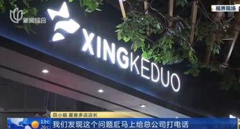 成人美发直播视频,跟随达人学习时尚发型打造技巧