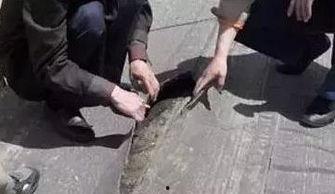 成人破洞修补方法视频大全,成人破洞修补视频教程汇总