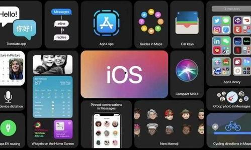 成人快手豆奶视频ios,iOS平台上的美味探索之旅