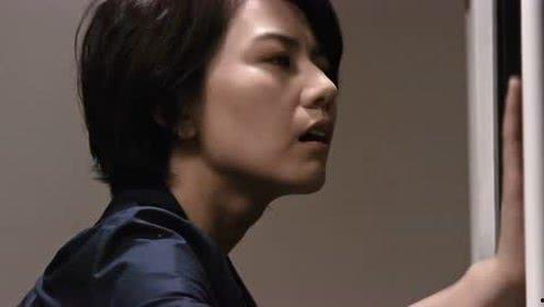 老王视频成人av,成人AV领域的深度解析